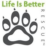 Life is Better Rescue (Lakewood, Colorado) logo of paw with Life Is Better text 