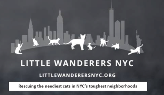 Little Wanderers, (New York, New York) logo gray city scape with white cats and white text