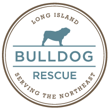 Long Island Bulldog Rescue (Stony Brook, New York) logo is the org name in a circle with a bulldog standing over “Bulldog”