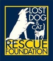 Lost Dog & Cat Rescue Foundation (Arlington, Virginia) logo of dog and cat with text Lost Dog & Cat Rescue Foundation 