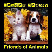 Loudon County Friends of Animals (Loudon, Tennessee) logo is a picture of a puppy and kitten with yellow flowers