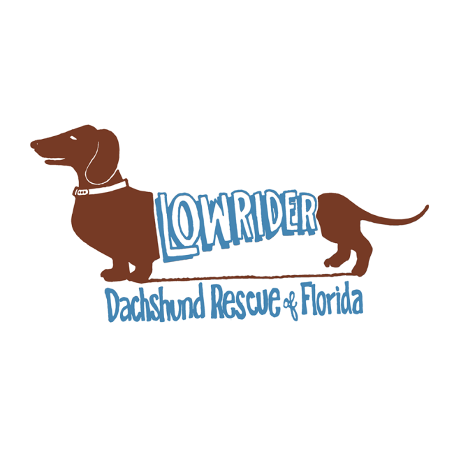 Low Rider Dachshund Rescue of Florida, Inc. (Port Charlotte, Florida) logo dachshund with lowrider text on it