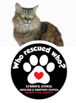 Lubbock Animal Services, (Lubbock, Texas) logo black circle with white paw and text with cat on top