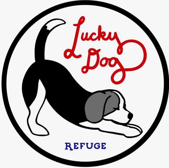 Lucky Dog Refuge (Stamford, Connecticut) logo dog bowing in circle