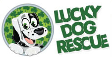 Lucky Dog Rescue Inc (Scottsdale, Arizona) logo of smiling dog with shamrock background and Lucky Dog Rescue text