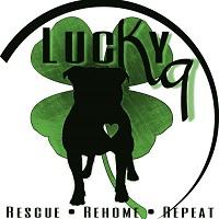 Lucky K9 (Saint Charles, Missouri) logo of dog, heart, shamrock, sky, field, grass, rescue, rehome, repeat