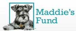 Maddie's Fund (Pleasanton, California) logo of Mini Schnauzer, 25 years, #ThanksToMaddie, Maddie’s Fund