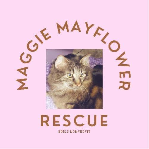 Maggie Mayflower Rescue, (Mooresville, North Carolina), logo photo of brown tabby cat surrounded by gold text