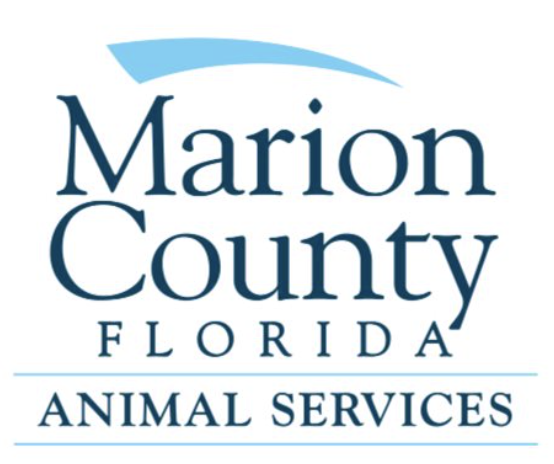 Marion County Animal Services, (Ocala, Florida), logo turquoise swoosh above dark text