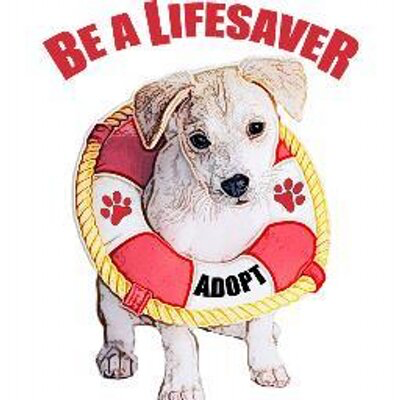 MarrVelous Pet Rescues & Adoptions (Key Largo, Florida) logo of dog with lifesaver with paws and adopt, be a lifesaver