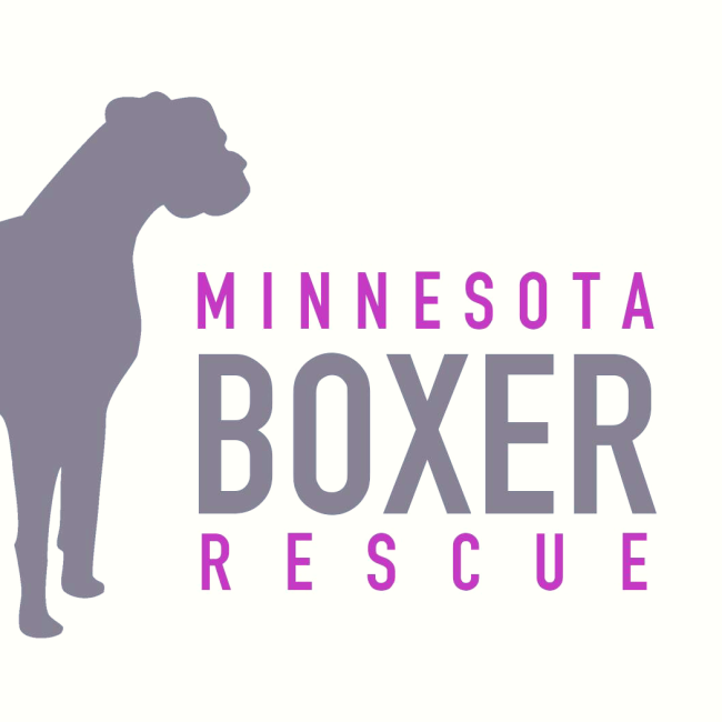 Minnesota Boxer Rescue (Woodbury, Minnesota) logo Boxer
