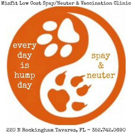 Misfit Spay/Neuter Clinic Inc., (Tavares, Florida), logo yin yang circle orange and white with cat and dog paw prints in white and orange