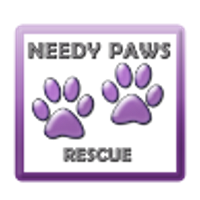 Needy Paws Rescue (St. Louis, Missouri) logo is the organization name and two purple paw prints inside a purple square