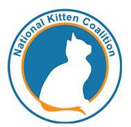 The National Kitten Coalition (Gainesville, Virginia) | logo of blue circle, white cat, orange tail, National Kitten Coalition