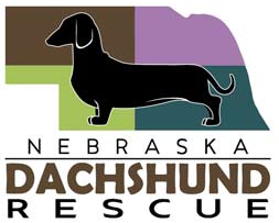 Nebraska Dachshund Rescue (Omaha, Nebraska) logo is a black dachshund on the state of Nebraska divided into four color quadrants