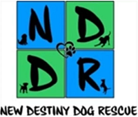 New Destiny Dog Rescue (Wartrace, Tennessee) logo of four blue and green squares, dog silhouettes, NDDR New Destiny Dog Rescue