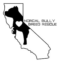 NorCal Bully Breed Rescue, (Lincoln, California), logo black bully breed dog with white heart on chest on outline of California map with black text
