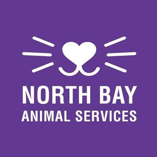 North Bay Animal Services (Petaluma, California) logo animal face and whiskers in square