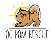 OC Pom Rescue (Placentia, California) logo is brown pomeranian stretching in front of sun above org name
