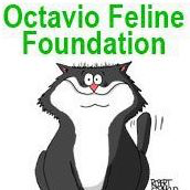 Octavio Feline Foundation (Miami, Florida) logo is a black and white cartoon cat sitting below the organization name
