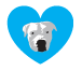 One Tail at a Time, NFP (Chicago, Illinois) logo is a white dog head in the middle of a blue heart
