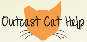 Outcast Cat Help (Martinez, California) of orange cat head, white whiskers, humanly controlling the cat population 