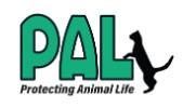 PALNV, (Las Vegas, Nevada), logo black cat climbing up on teal capital letters