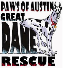 PAWS of Austin (Austin, Texas) logo is a black and white Great Dane sitting on the “Dane” in PAWS of Austin Great Dane Rescue
