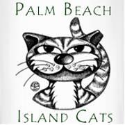 Palm Beach Island Cats (Palm Beach, Florida) logo drawn grey and white cat with green lettering