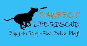 Pawfect Life Rescue Inc. (Uxbridge, Massachusetts) logo black dog silhouette with blue background and tan and black text