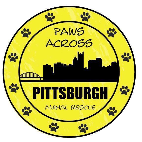 Paws Across Pittsburgh (Springdale, Pennsylvania) logo yellow circle with black silohuette of city black paws as outline