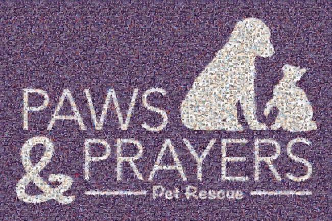 Paws and Prayers, Inc. (Cuyahoga Falls, Ohio) logo dog and cat in square 