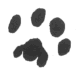 Paws for Life (Chesapeake City, Maryland) logo of two black paws, paws for life, inc.  