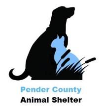 steuben county spca hornell