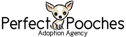 Perfect Pooches Adoption Agency (Romeoville, Illinois) logo of fawn and white chihuahua dog, Chicago area dog rescue