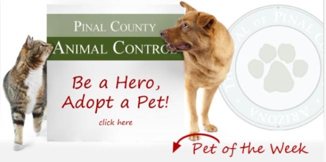 Pinal County Animal Care and Control (Casa Grande, Arizona) logo of dog and cat, be a hero, adopt a pet