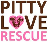 Pitty Love Rescue (Rochester, New York) logo is the organization name with a heart with a pit bull face on it for the “o”