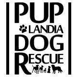 Puplandia (Aloha, Oregon) logo is the org name in different sized letters with a row of dogs at the bottom