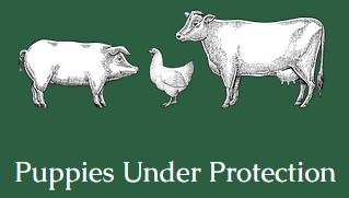 Puppies Under Protection, Inc., (Warne, North Carolina), white pig, hen and cow on green background above white text