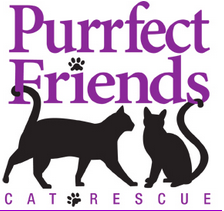 Purrfect Friends Cat Rescue (Cincinnati, Ohio) logo is two black cats and the organization name in purple with black pawprints