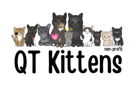 QT Kittens Inc., (Naples, Florida) logo grey brown and white cats in a row with pink heart and black text