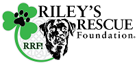 Riley’s Rescue Foundation (Streamwood, Illinois) logo is a black dog head and a clover with a pawprint on it