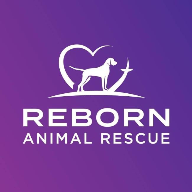Reborn Animal Rescue, Inc. (Torrington, Connecticut) logo dog in heart