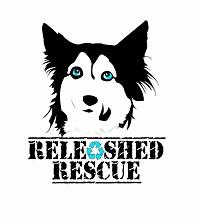 Releashed Rescue (Cumming, Georgia) logo is a husky with blue eyes above the org name with a recycle symbol for the “a”