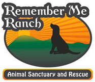Remember Me Ranch (Baraboo, Wisconsin) logo is a sitting black dog with green mountains, a sunburst, and the organization name