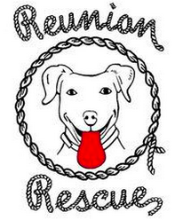 Reunion Rescue (Austin, Texas) logo is a dog face with a red tongue with a rope outline and the org name in rope letters