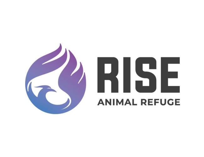 Rise Animal Refuge (Freeport, Florida) logo drawn phoenix with open wings to form circle light royal blue fading in to purple color black lettering to the right