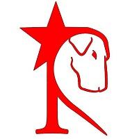 Rockstar Rescue (Phoenix, Arizona) logo