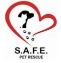 SAFE Pet Rescue (St. Augustine, Florida) logo is a cat profile in front of a dog profile and pawprints inside a heart outline