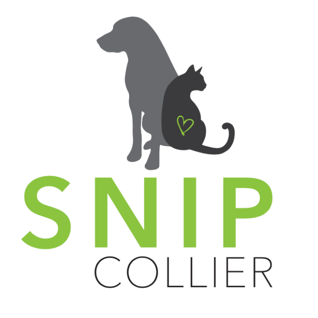 Snip Collier, Inc, (Naples, Florida), logo grey dog black cat light green and grey text